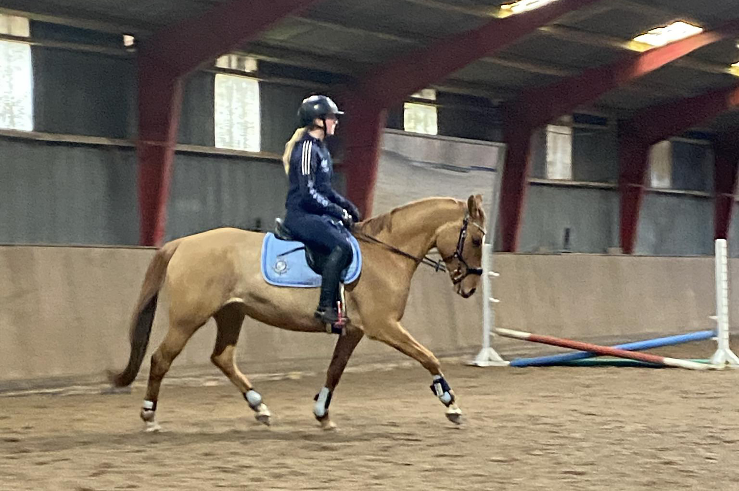 1ae0e4ff-e8f0-494a-aa6d-2246637aa726