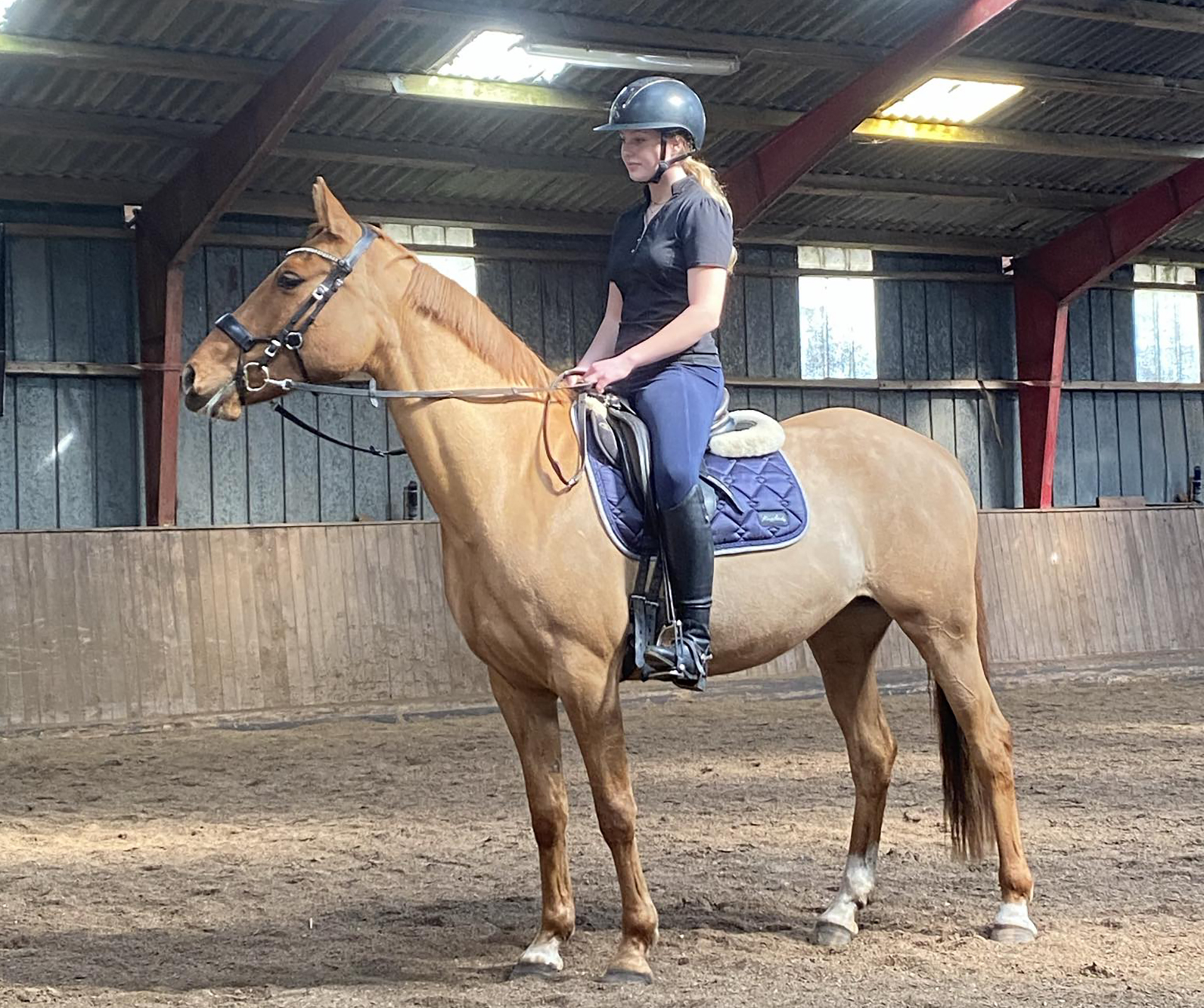 8adacd4a-b7f0-4cd2-af2b-a2f6cd607659