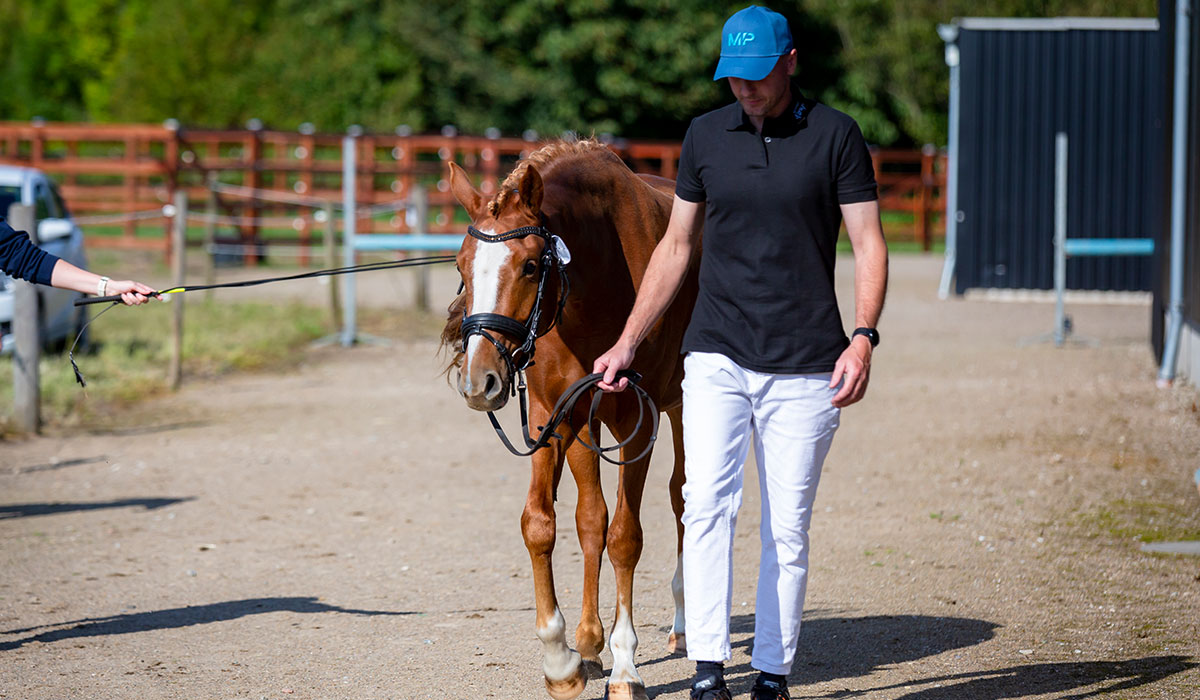 Dia-Sunshine-gallery-1