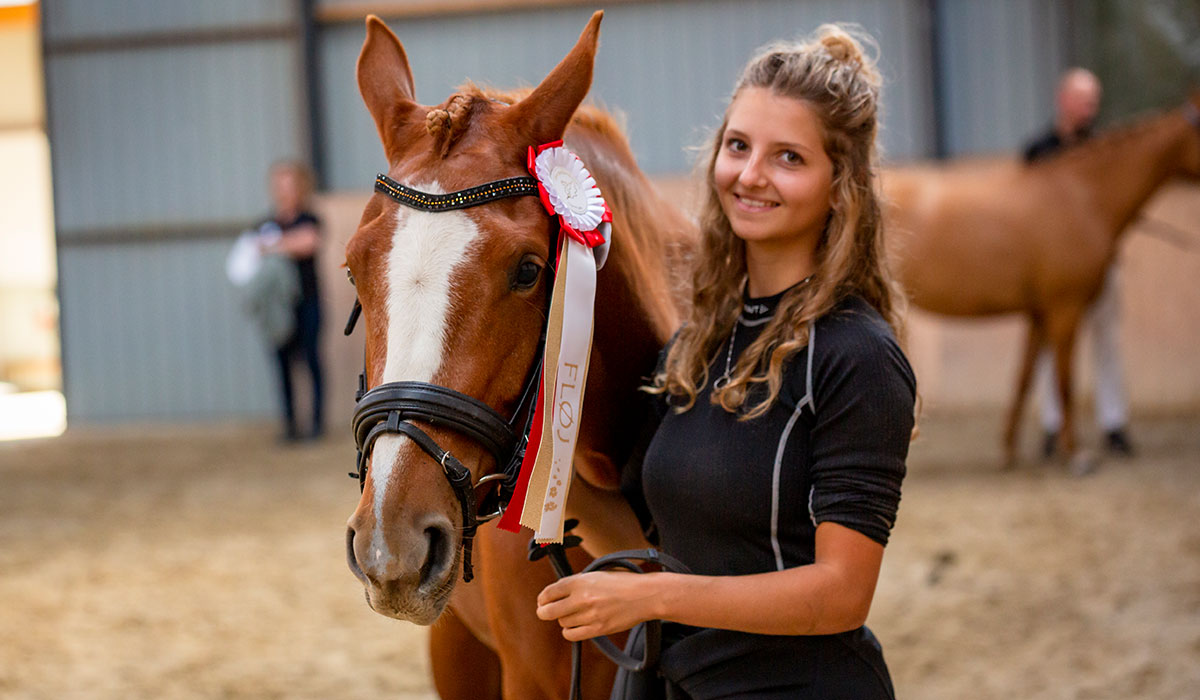 Dia-Sunshine-gallery-2