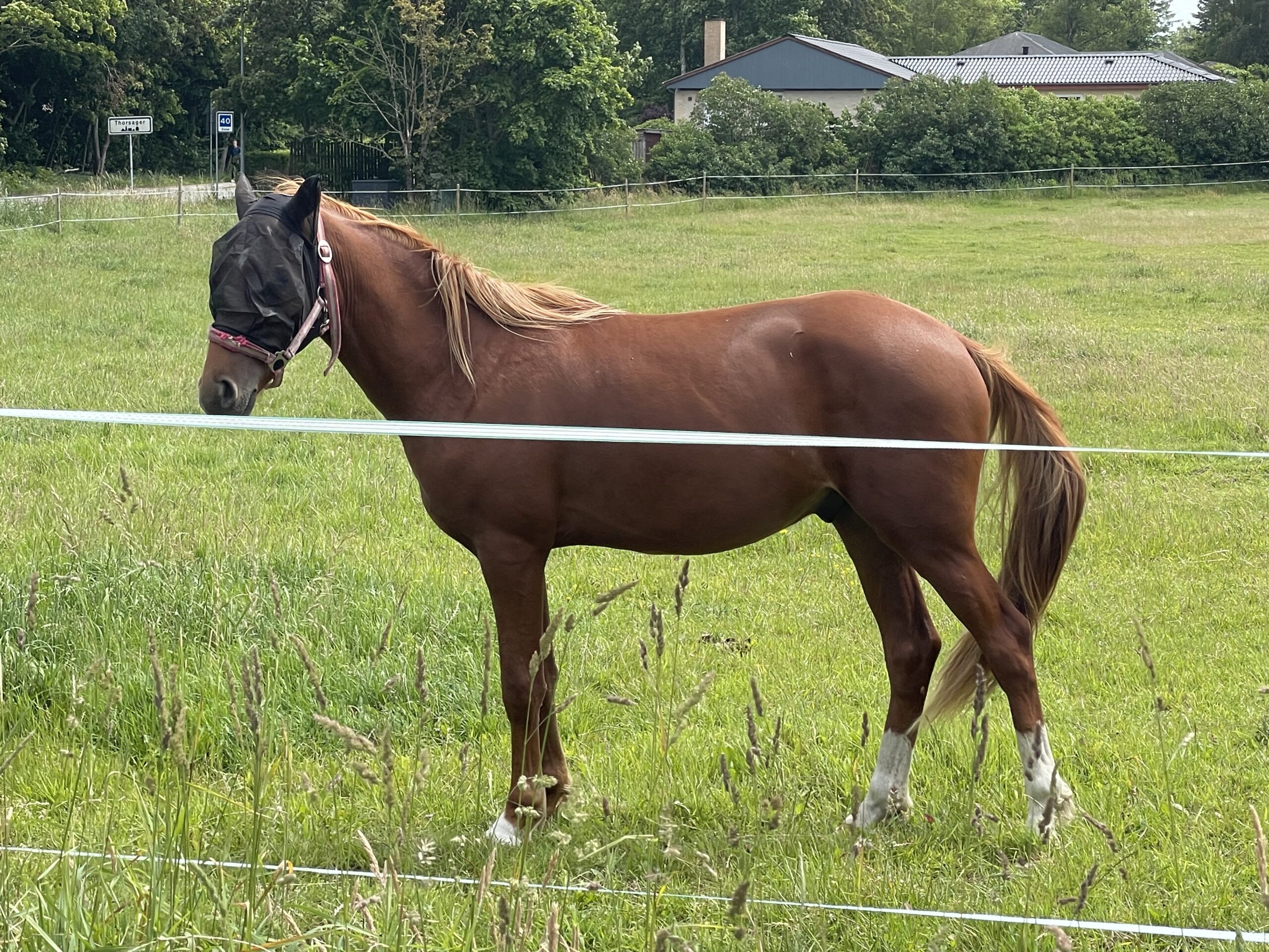 2025-06-25 13.39.26-1