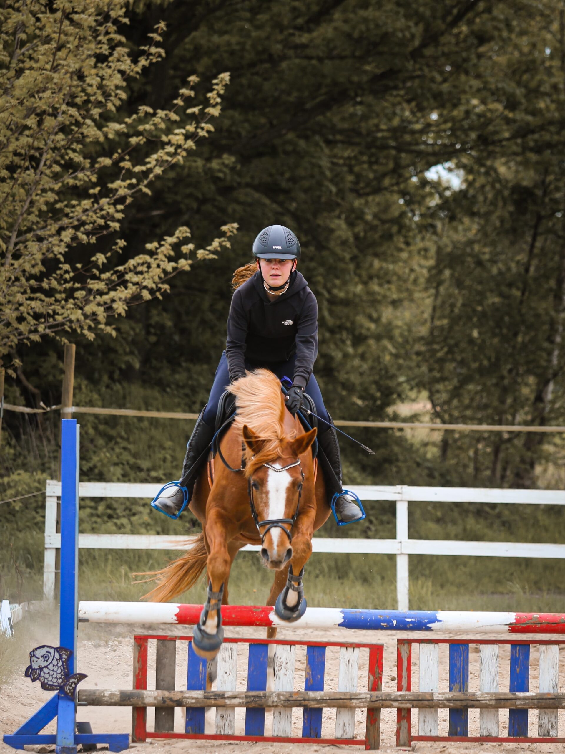 29f7fc75-c93c-4357-ade4-2c7209ab99f0