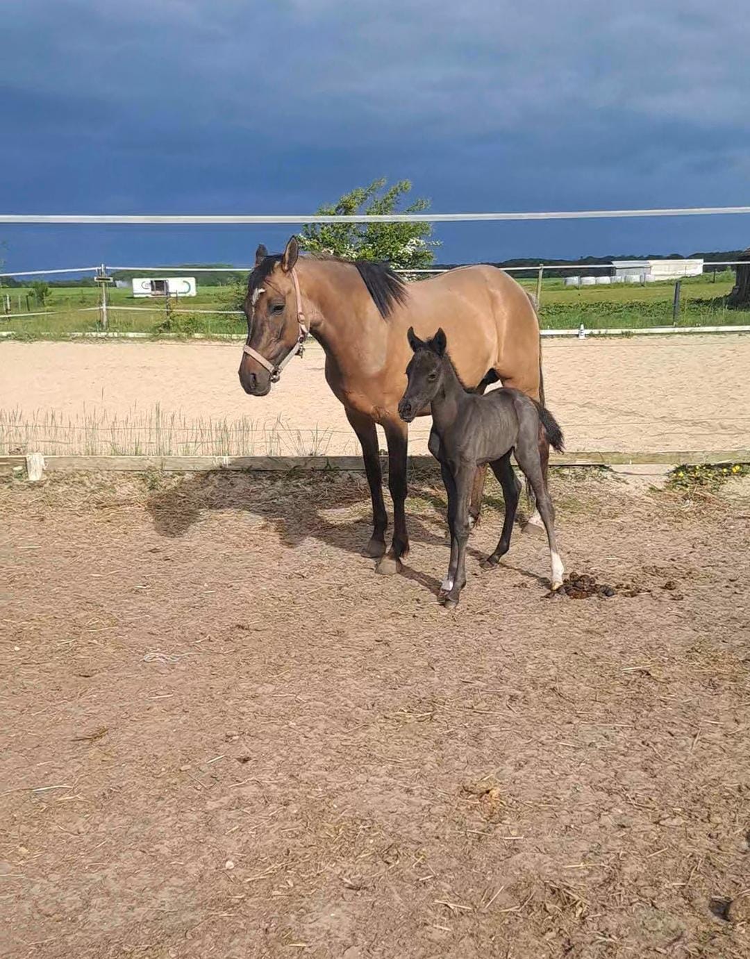 5c86293a-2a06-400a-ab0b-a4aa1705a421