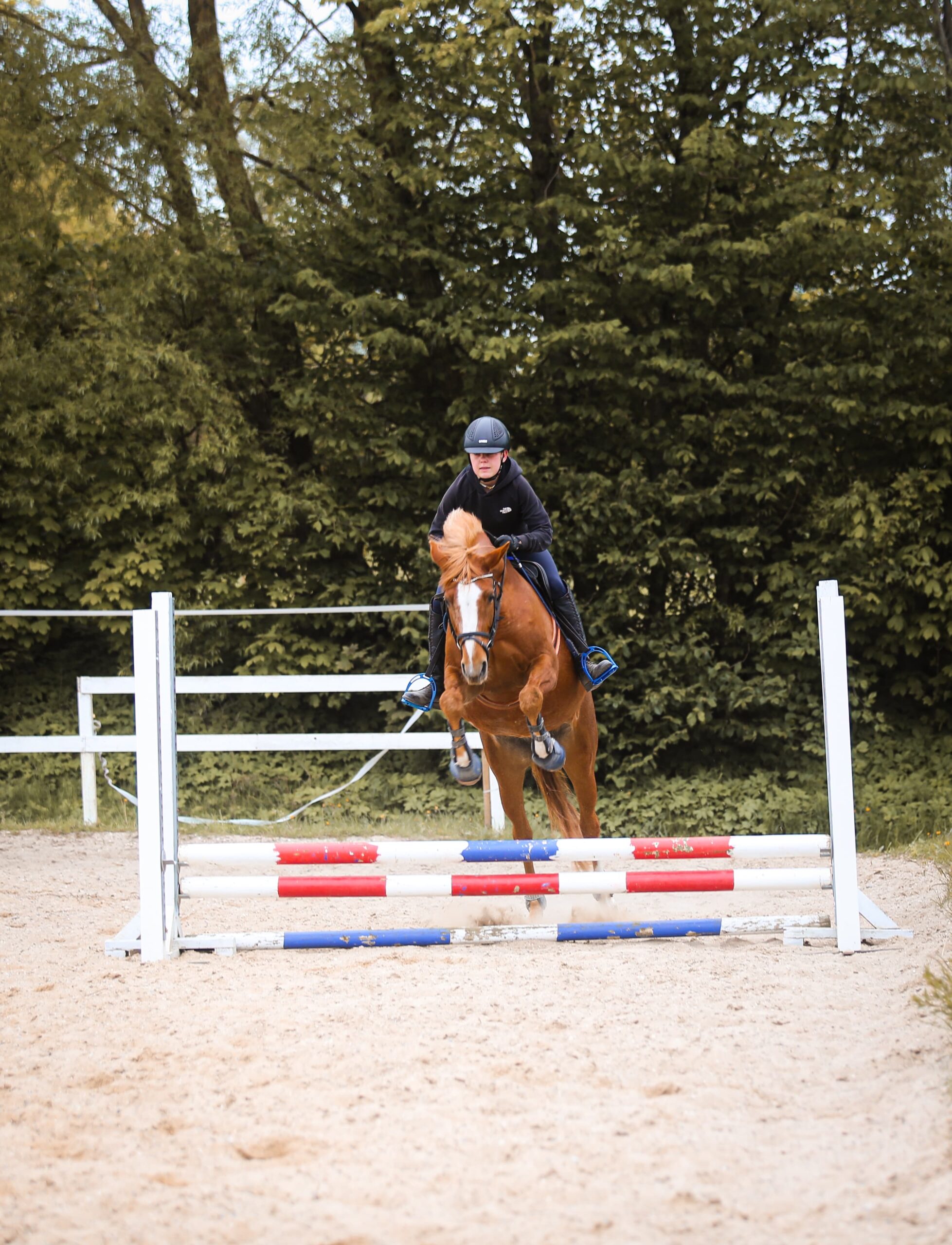 685d1085-9b4b-46c8-8636-5b9899cbb737