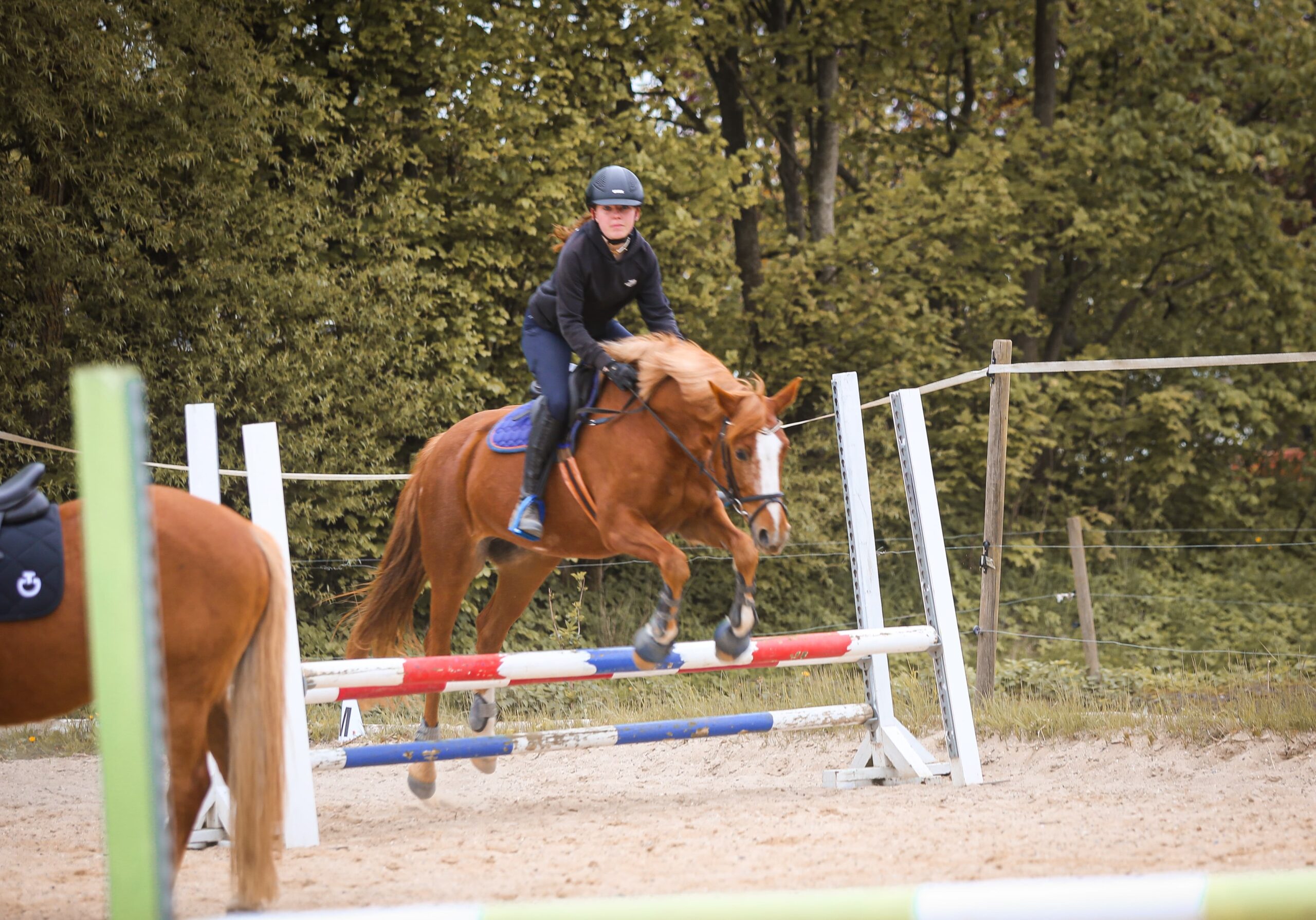 d9cd4ff7-0852-4917-b75b-388003732864